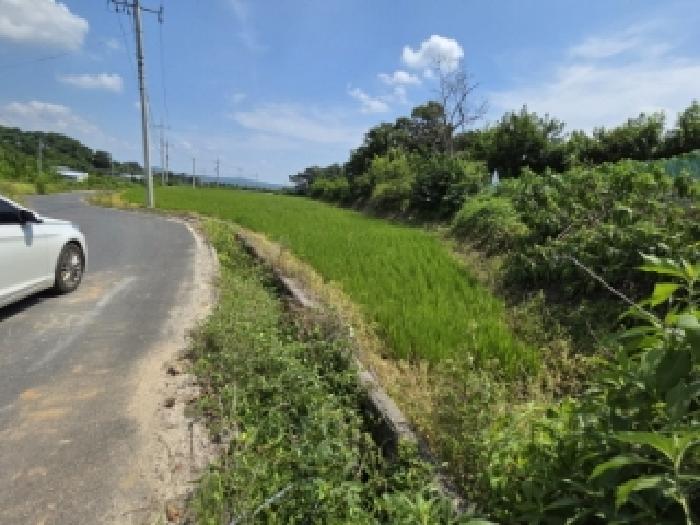 2025타경10969 · 경상북도 안동시 풍천면 하회리 945