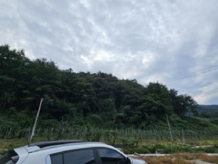 2025타경11054 임야 · 경상북도 봉화군 춘양면
