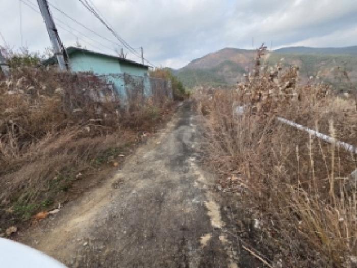 2025타경11221 · 경상북도 안동시 예안면 구룡리 957-2