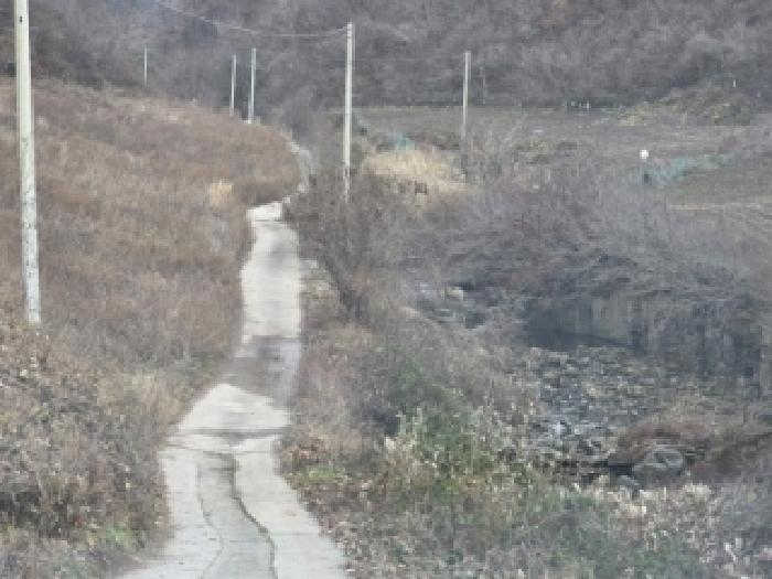 2025타경11269 · 경상북도 안동시 예안면 도촌리 208