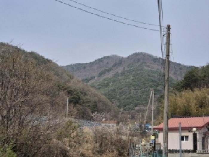 2025타경10419 임야 · 경상북도 경주시 산내면
