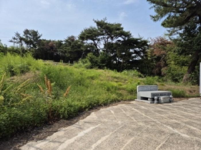 2025타경10480 임야 · 경상북도 경주시 천북면