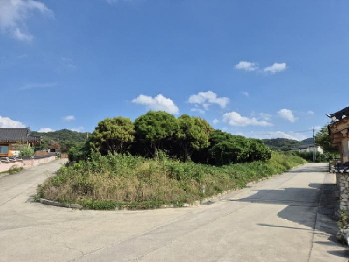 2025타경10687 임야 · 경상북도 경주시 강동면 안계리 산31-45