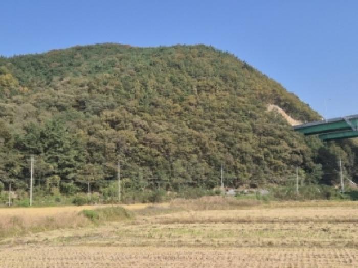 2025타경10741 임야 · 경상북도 경주시 광명동