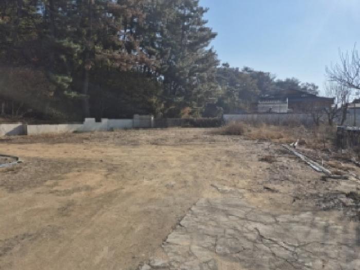 2025타경10783 · 경상북도 경주시 조양동 123-2