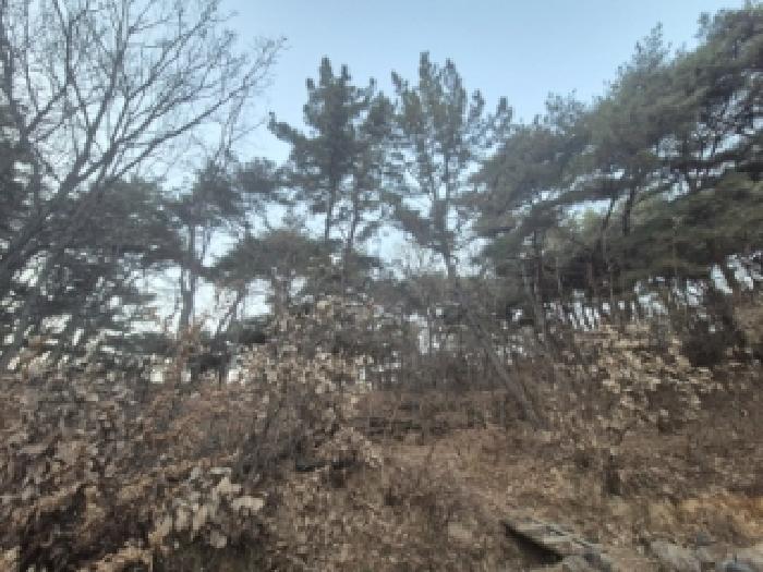 2025타경10834 임야 · 경상북도 경주시 구정동