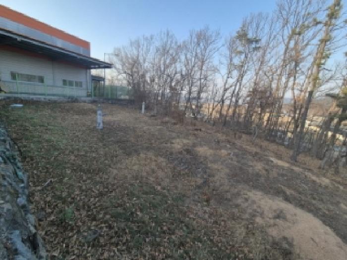 2025타경10869 전답 · 경상북도 경주시 내남면