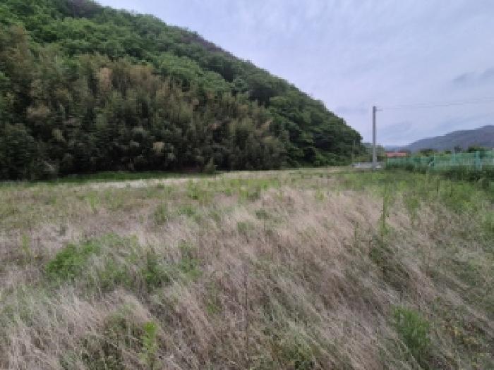 2025타경391 · 경상북도 경주시 감포읍