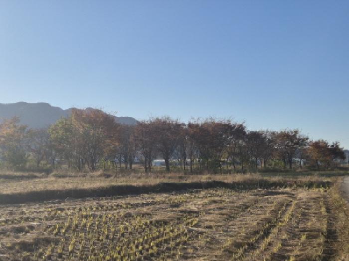 2025타경574 전답 · 경상북도 경주시 건천읍