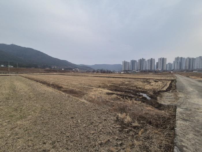 2025타경602 전답 · 경상북도 경주시 건천읍 화천리 76-16