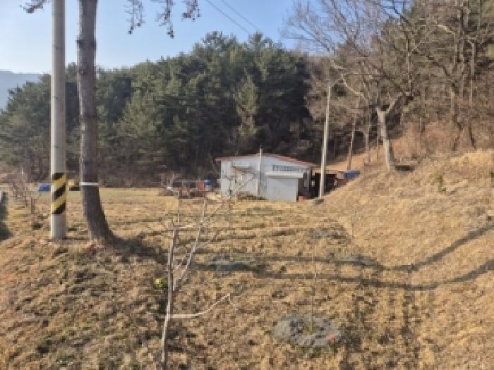 2026타경10032 전답 · 경상북도 경주시 내남면