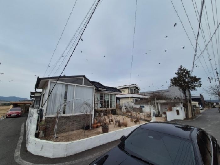 2026타경10041 대지 · 경상북도 경주시 안강읍 양월리 278-8