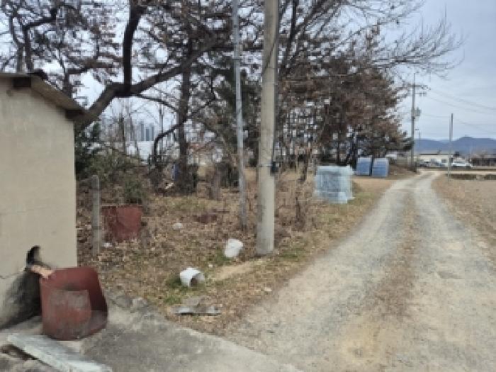 2026타경10053 임야 · 경상북도 경주시 천북면 동산리 710-3