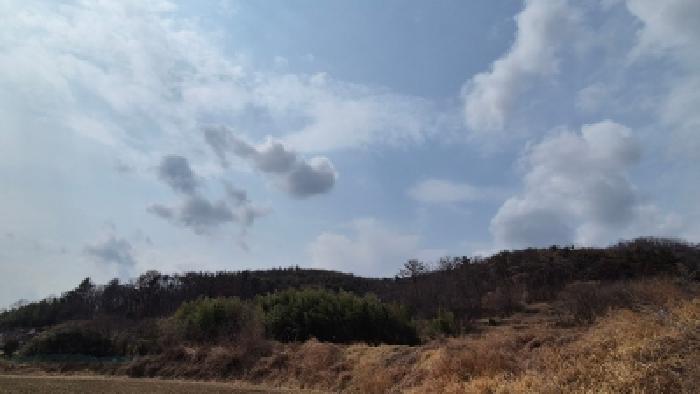 2026타경10107 임야 · 경상북도 경주시 외동읍 석계리 산114