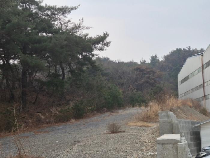 2026타경10121 임야 · 경상북도 경주시 천북면 화산리 산176-2