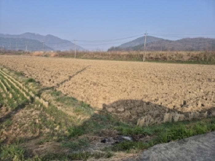 2026타경10125 · 경상북도 경주시 효현동 1258