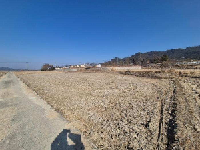2026타경32 전답 · 경상북도 경주시 도지동 82-4