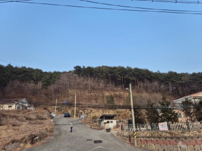 2026타경42 임야 · 경상북도 경주시 산내면