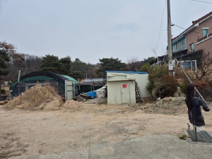 2026타경60 임야 · 경상북도 경주시 강동면 안계리 산31-5