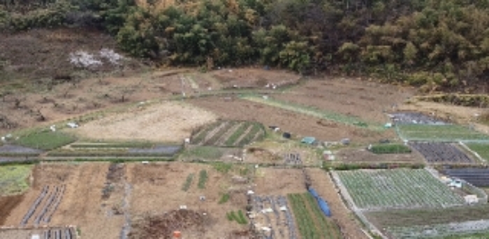2023타경11407 · 경상북도 김천시 농소면