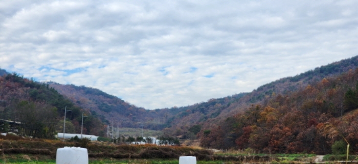 2024타경17655 · 경상북도 구미시 장천면 명곡리 677