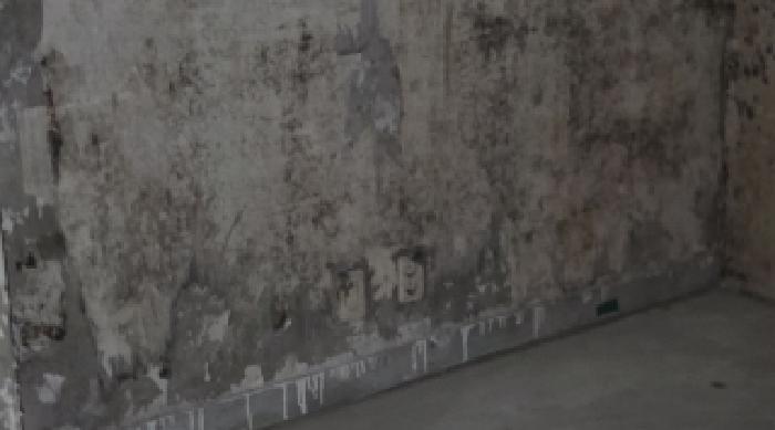 2025타경11158 상가근린 · 경상북도 구미시 형곡동