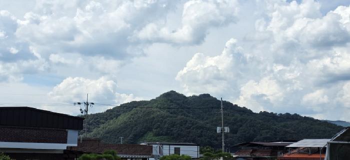 2025타경11228 임야 · 경상북도 김천시 봉산면