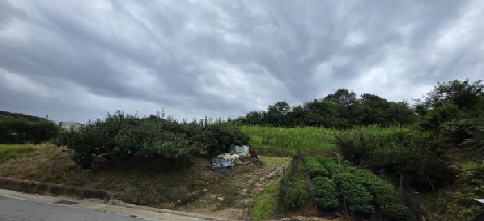 2025타경11284 임야 · 경상북도 김천시 덕곡동