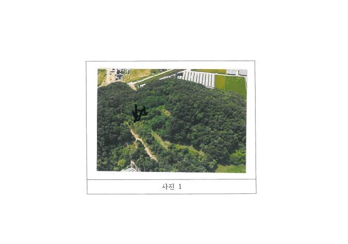 2025타경11349 임야 · 경상북도 김천시 감천면 도평리 산30