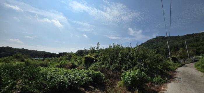 2025타경11353 전답 · 경상북도 김천시 봉산면