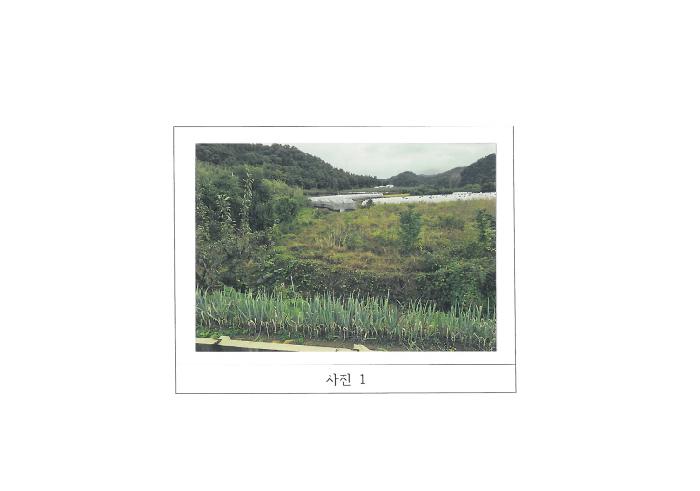 2025타경11382 토지 · 경상북도 김천시 남면 봉천리 88