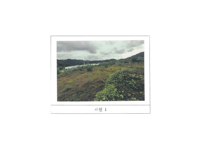 2025타경11409 · 경상북도 김천시 남면 봉천리 1311-2