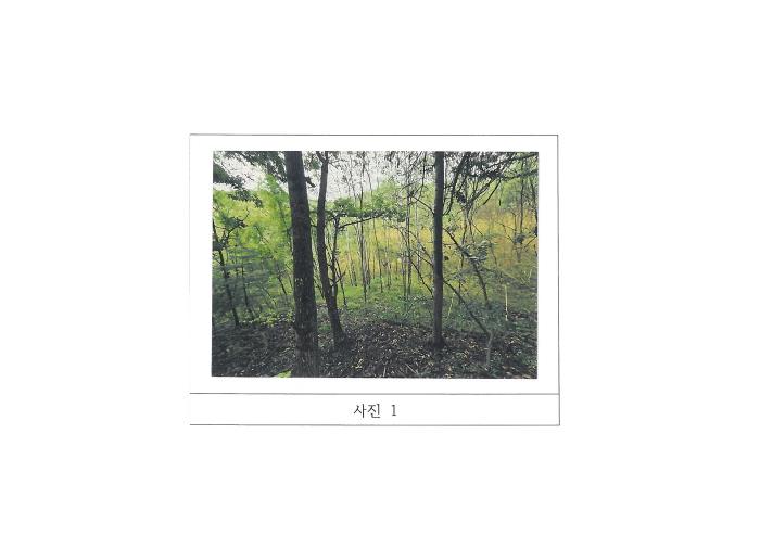 2025타경11443 전답 · 경상북도 구미시 남통동 69-3