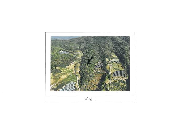 2025타경11462 임야 · 경상북도 김천시 감천면