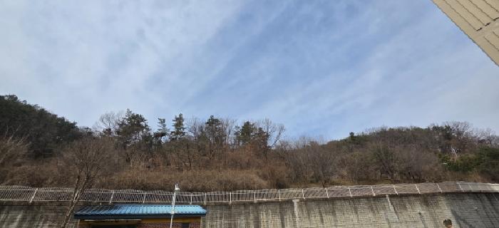 2025타경279 임야 · 경상북도 구미시 선산읍