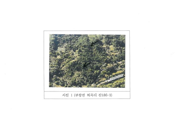 2025타경483 임야 · 경상북도 김천시 부항면 희곡리 산186-1