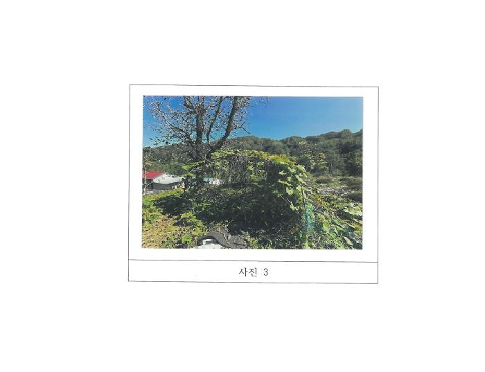 2025타경486 대지 · 경상북도 김천시 지례면 거물리 157