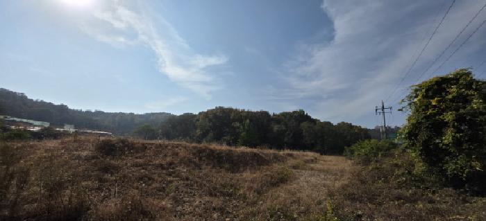 2025타경509 임야 · 경상북도 김천시 덕곡동 산39