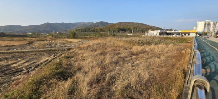 2025타경519 전답 · 경상북도 구미시 선산읍