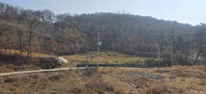 2025타경545 전답 · 경상북도 구미시 해평면