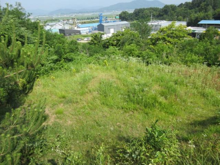 2024타경71362 전답 · 경상북도 상주시 사벌국면 엄암리 621-3