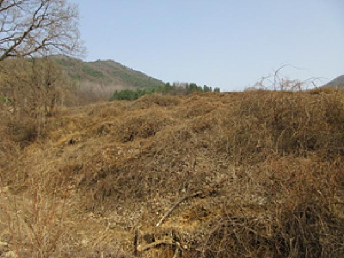 2025타경136 · 경상북도 문경시 농암면 내서리 739-5