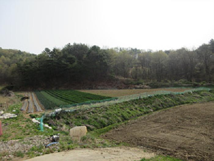 2025타경150 · 경상북도 예천군 지보면 송평리 186