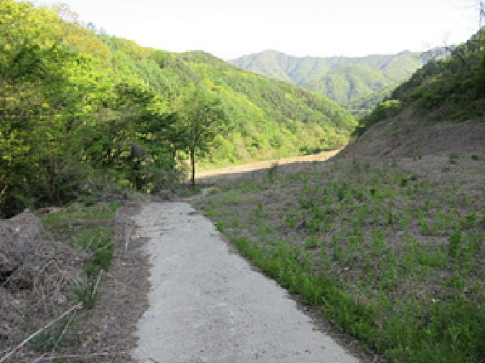 2025타경169 · 경상북도 문경시 농암면 궁기리 182-1