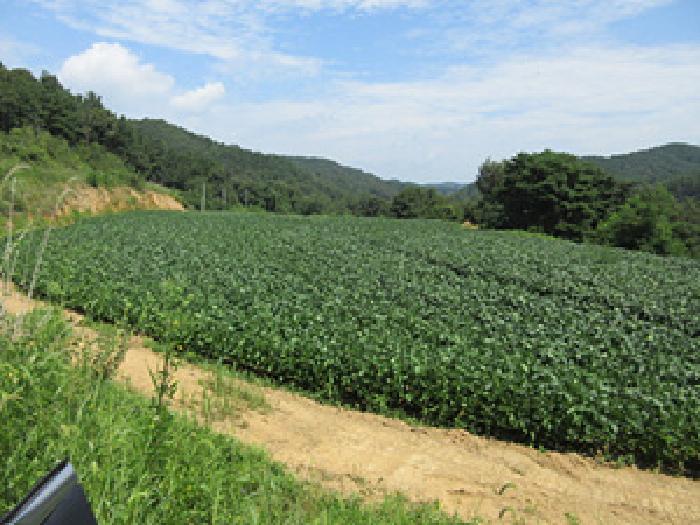 2025타경204 · 경상북도 문경시 영순면 율곡리 588