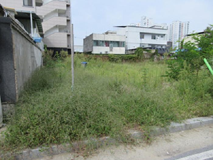 2025타경226 대지 · 경상북도 상주시 서성동 100