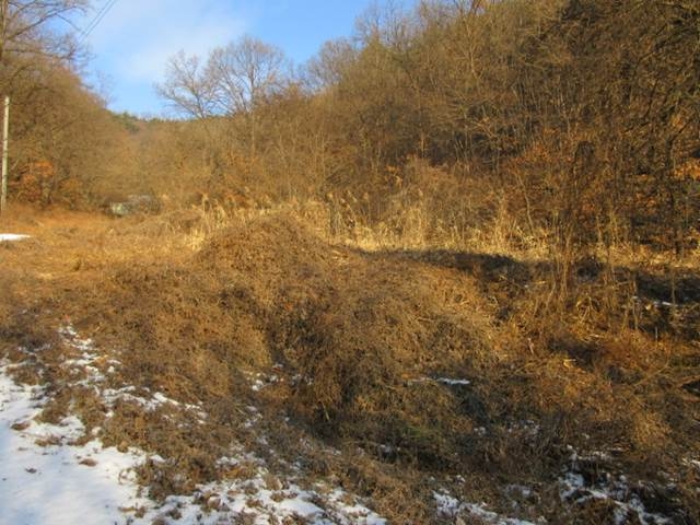 2025타경5058 · 경상북도 예천군 호명읍 원곡리 336