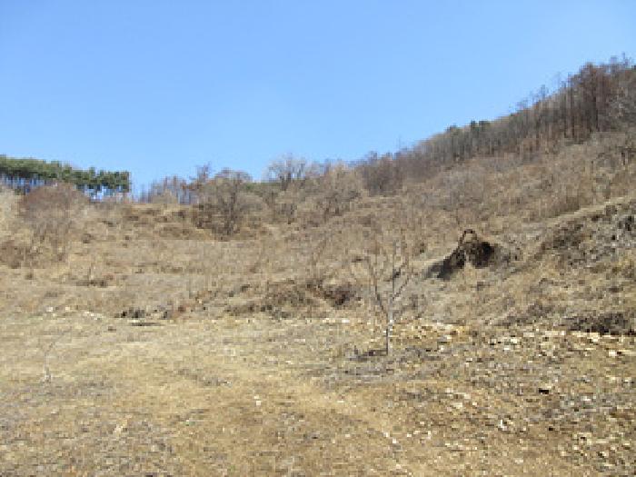 2025타경5240 · 경상북도 예천군 효자면 고항리 178