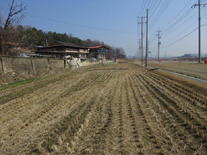 2025타경5247 · 경상북도 예천군 예천읍 대심리 621-3