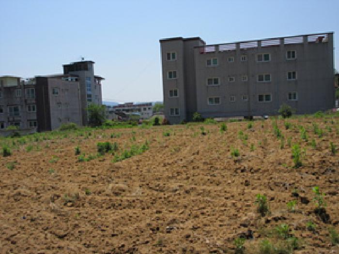 2025타경5312 · 경상북도 예천군 예천읍 대심리 456-5